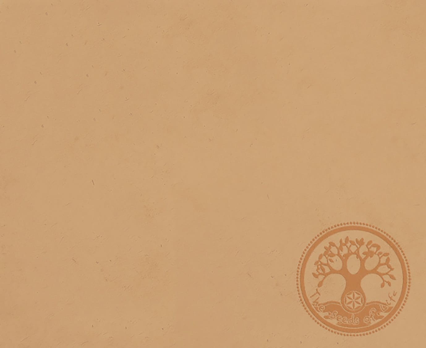 Project presentation background