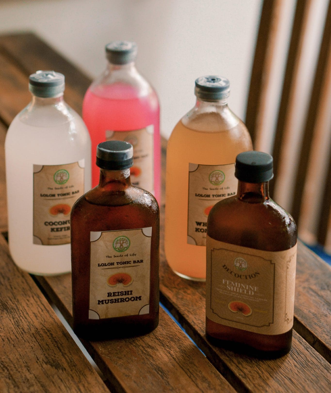 Raw Living Vegan Kefir and Tonics at The Seeds of Life, Ubud, Bali, Indonesia